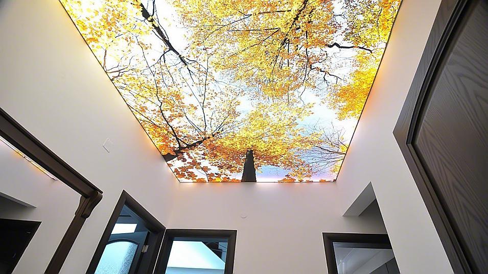 Понравилось изображение из Интернета? Подкорректируем его пропорции, увеличим, отретушируем.